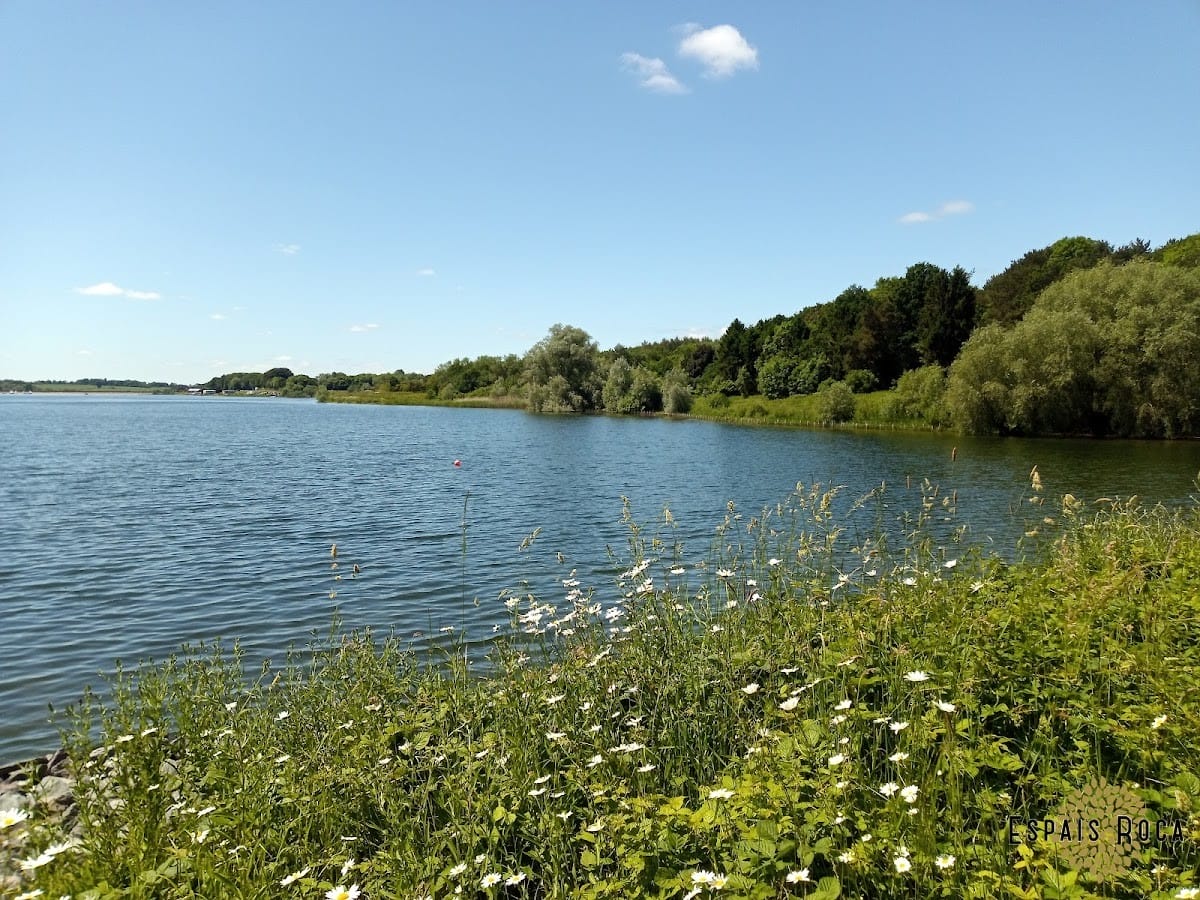 Pitsford Reservoir: Scenic Walks and Wildlife Near The Cottage