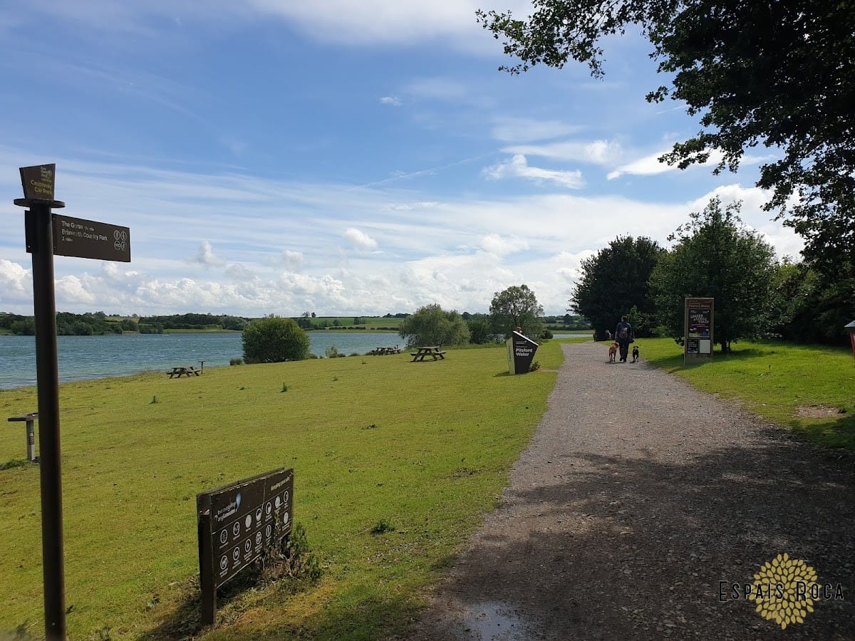 Pitsford Reservoir: Scenic Walks and Wildlife Near The Cottage